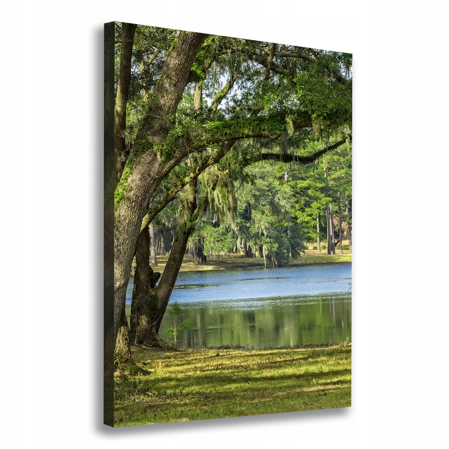 

Foto obraz na płótnie Jezioro w parku 70x100 cm