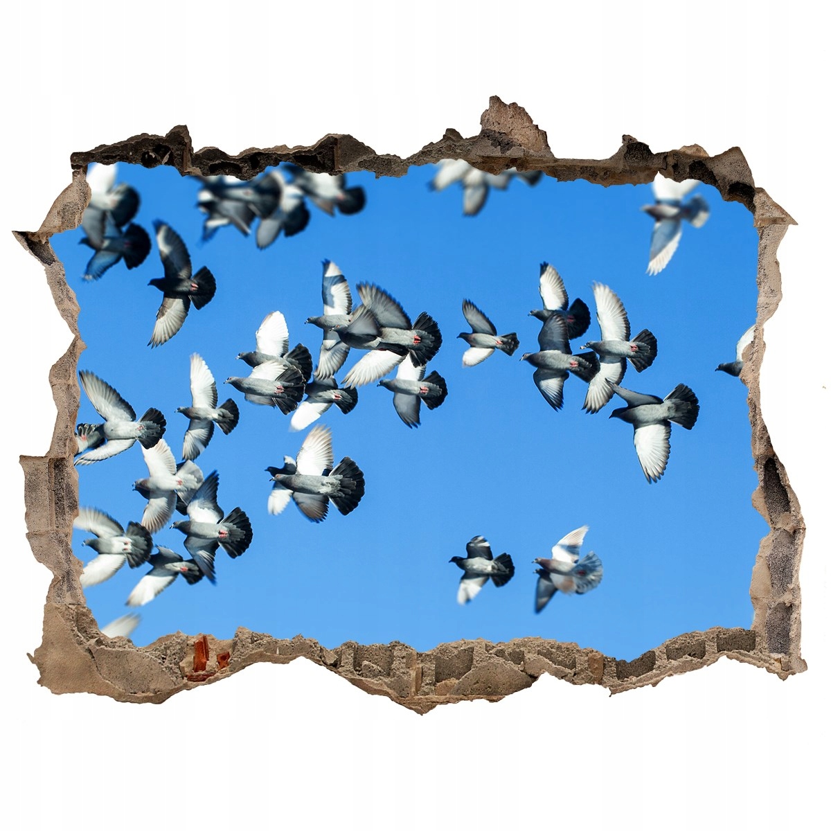 

Dziura 3d fototapeta Naklejka Stado gołębi 168x113