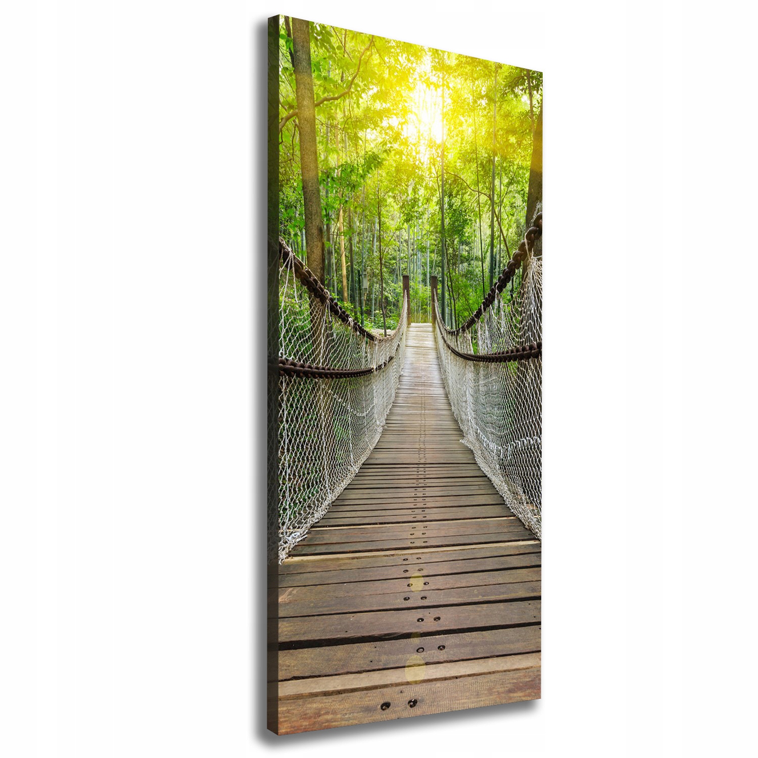 

Foto obraz canvas do salonu Most wiszący 50x125