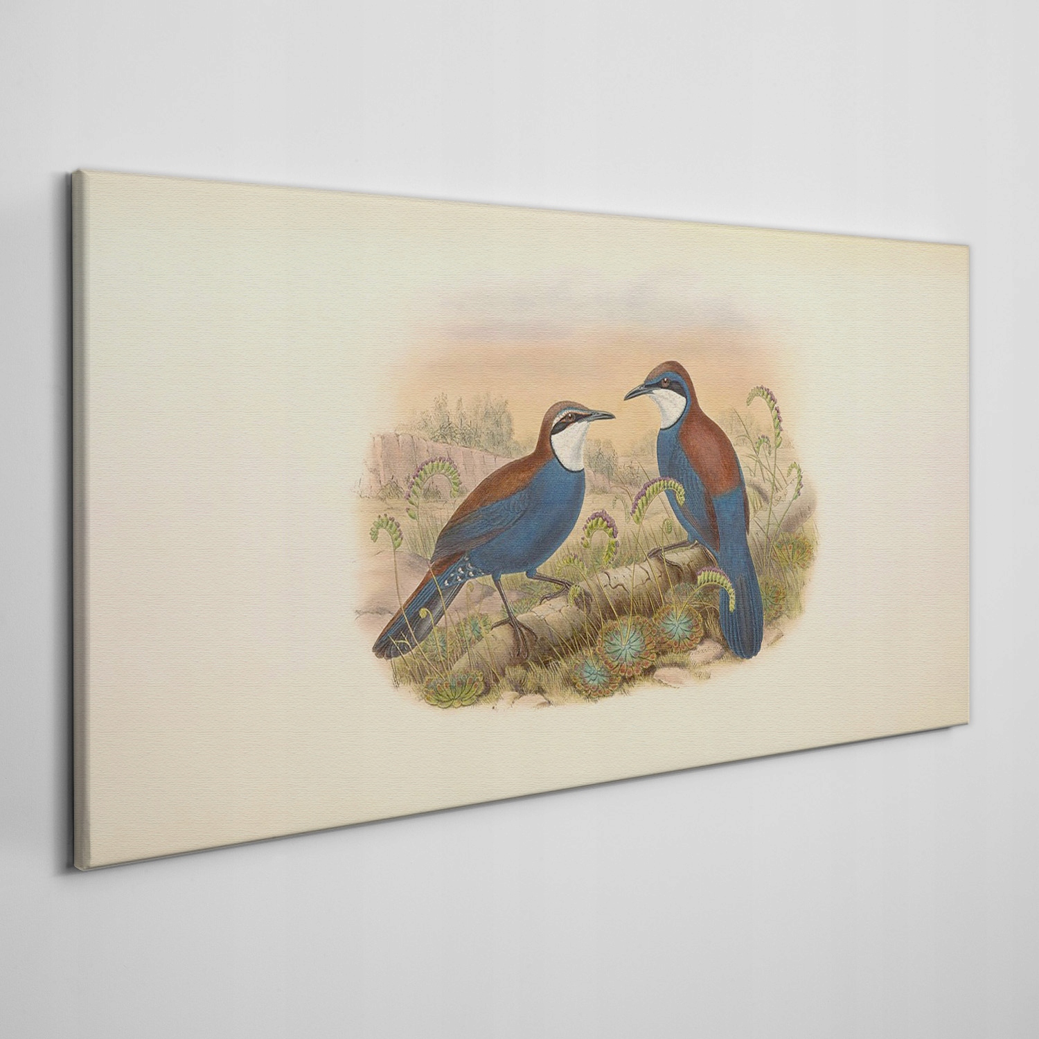 

Obraz na płótnie Ptaki zwierzęta rysunek 100x50 cm