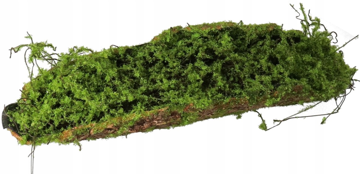 

Kora Omszała Dekoracja Ozdoba Baza 47 CM