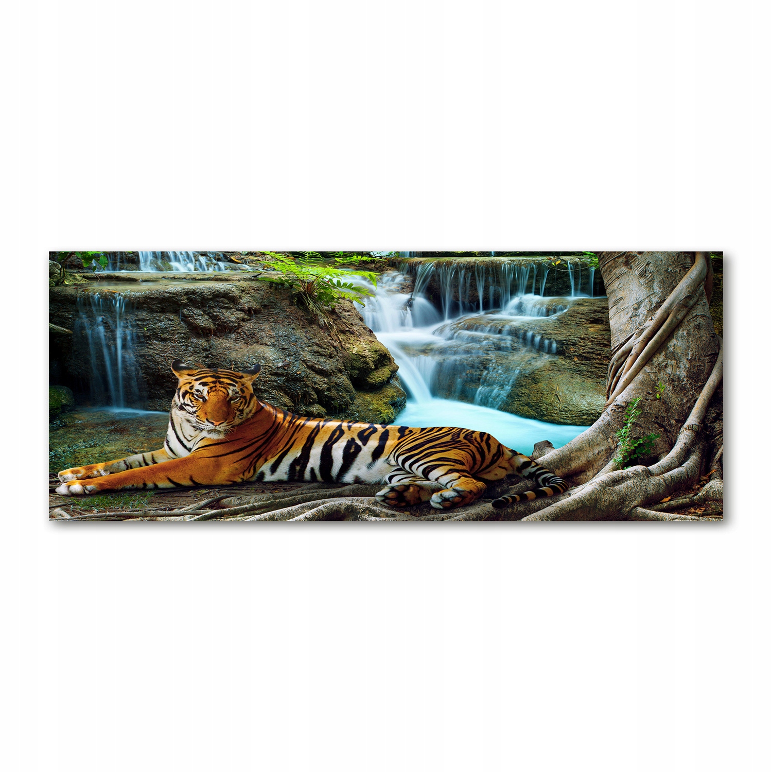 

Foto obraz akryl zdjęcie Tygrys wodospad 125x50 cm