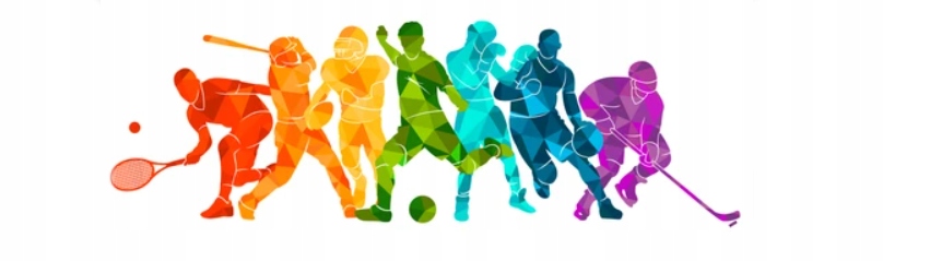 RONALDO AL-NASSR --- koszulka piłkarska r.164 (M) Marka Inna marka