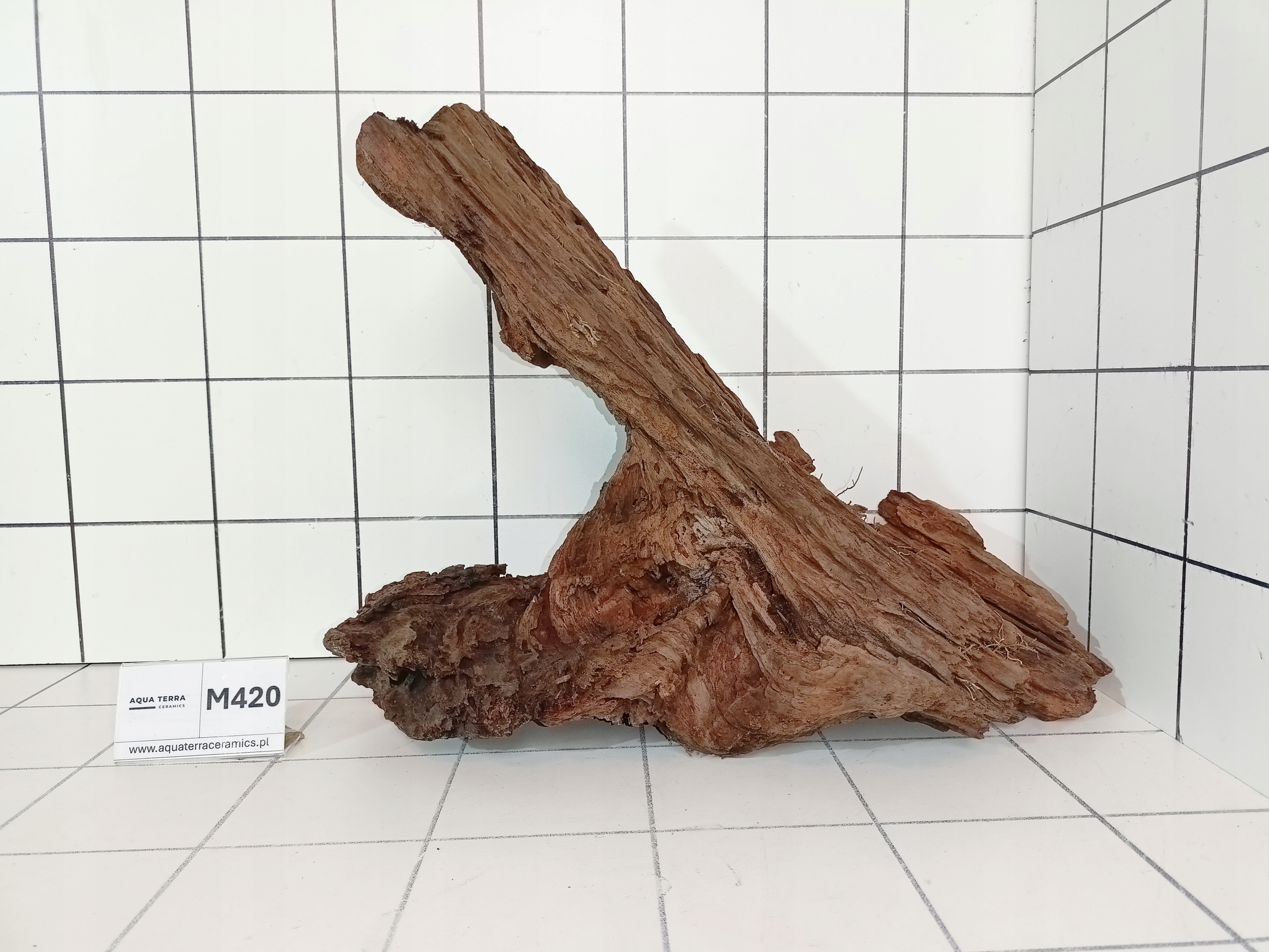 Korzeń Mangrowiec M420 (Kupujesz To Co Na Zdjęciu) Do Akwarium Terrarium
