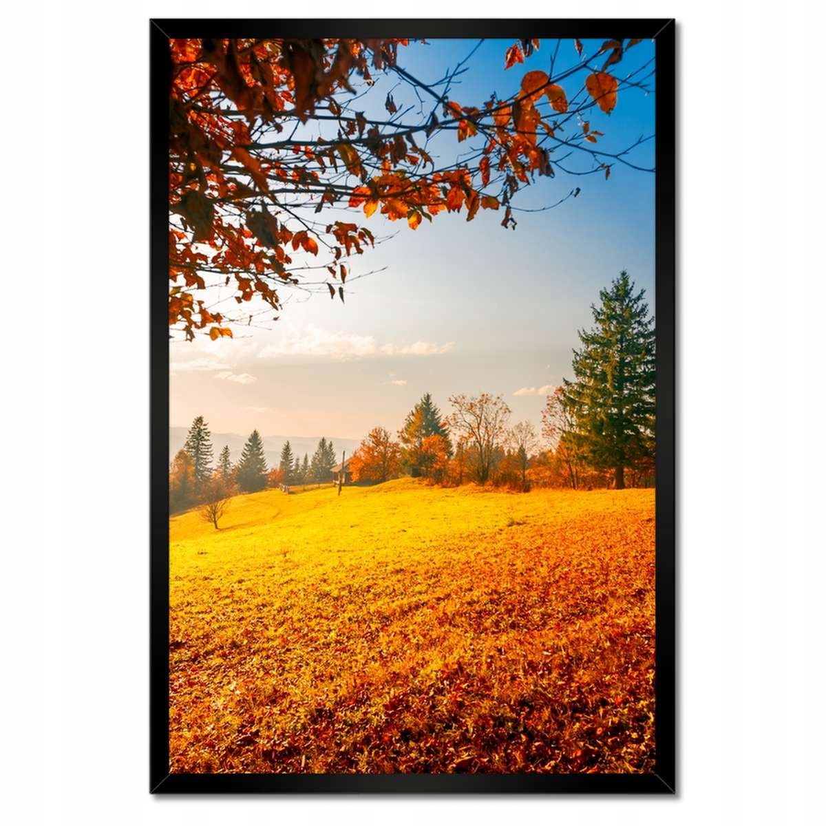 Plakáty v rámu 40x60 Podzimní krajina