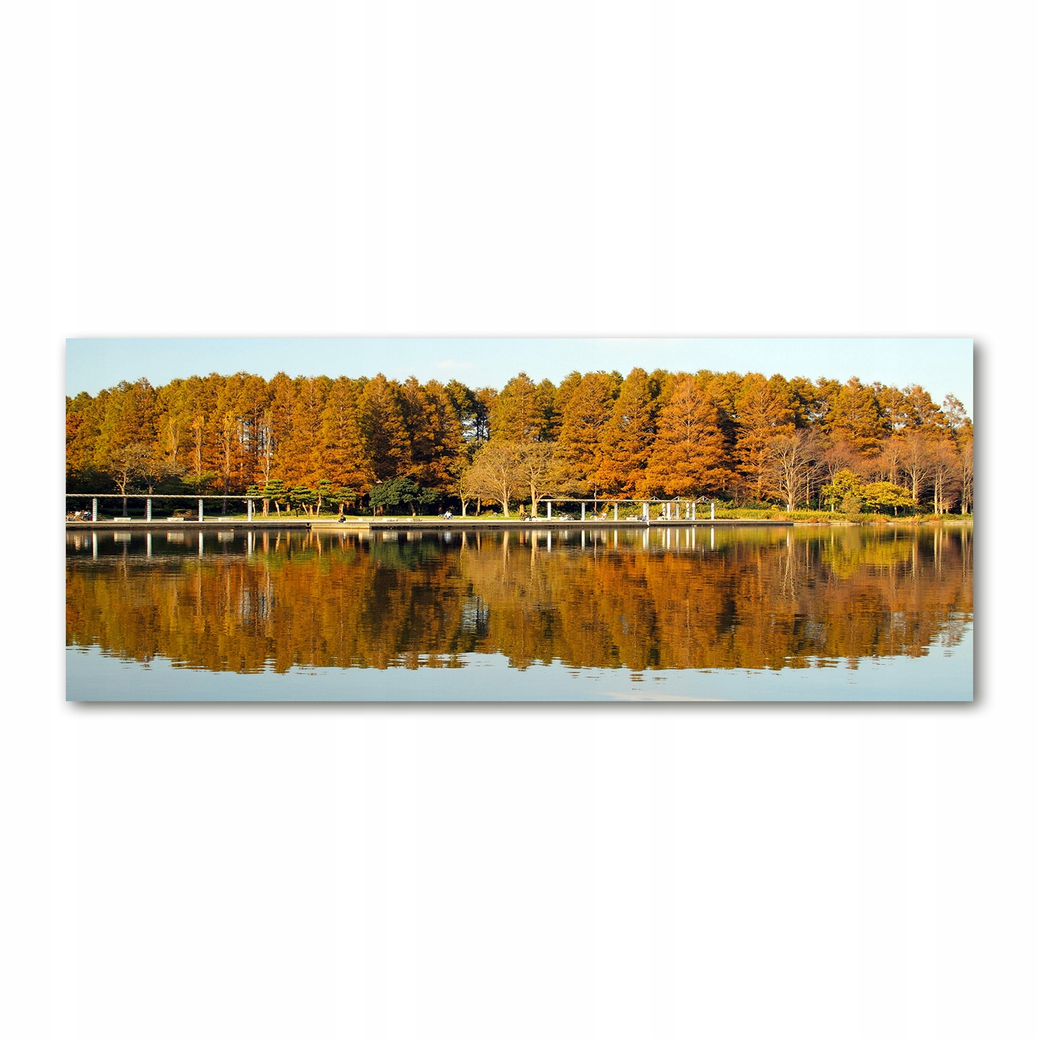 

Foto obraz szkło akryl Las nad jeziorem 125x50 cm