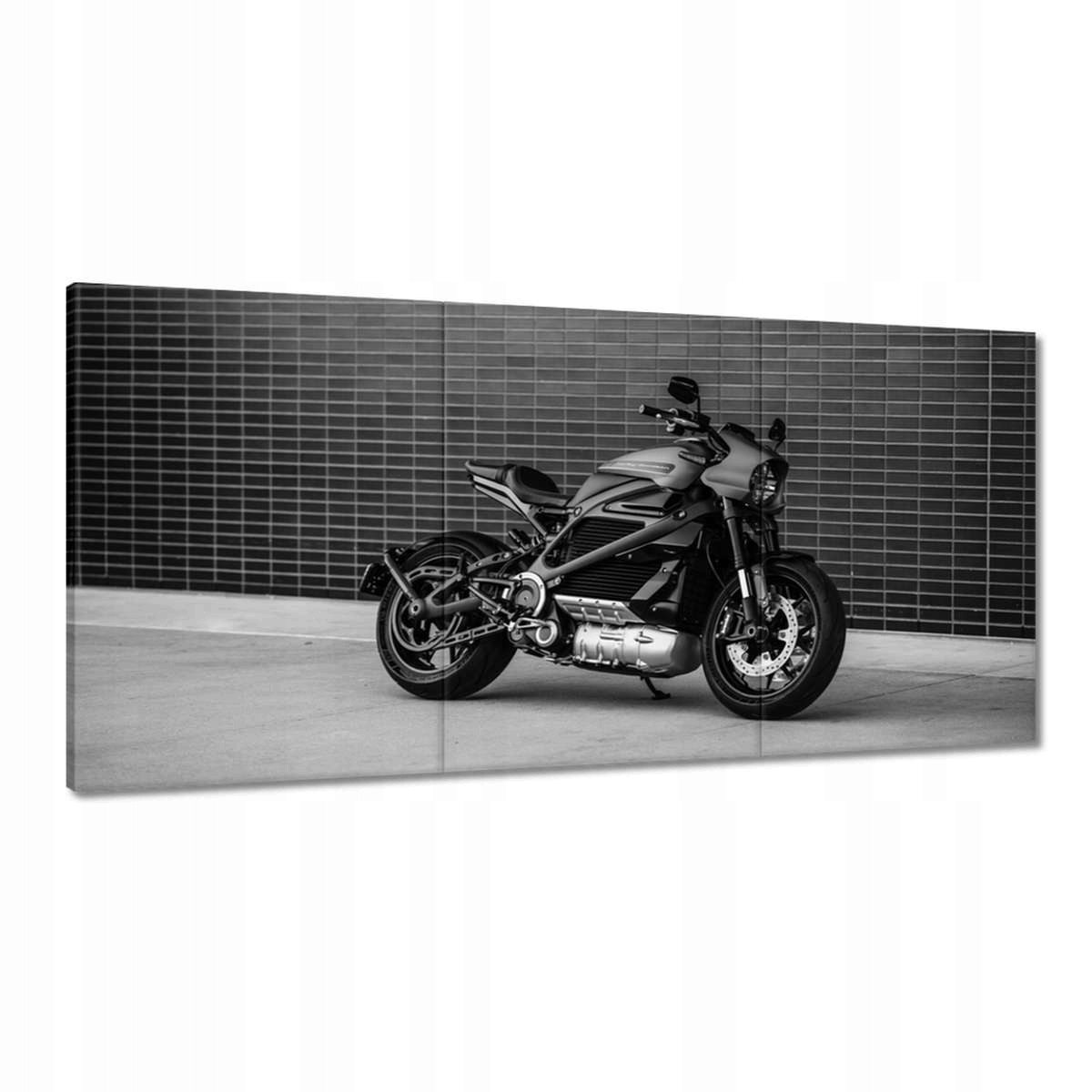 Obrazy 180x90 Harley Davidson Motocykl
