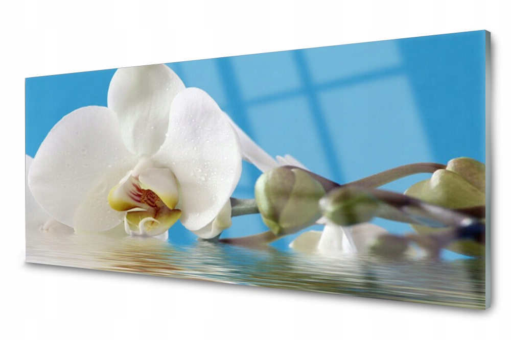 

Panel szklany do kuchni Kwiat Roślina 125x50
