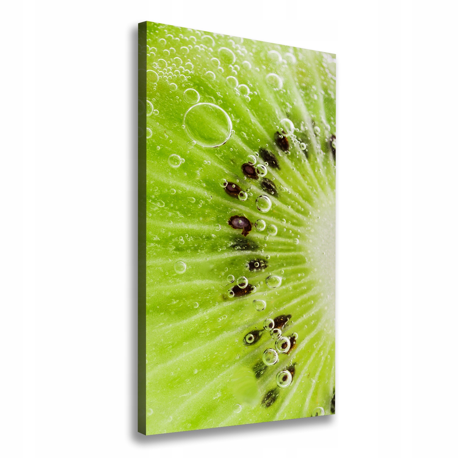 

Foto obraz drukowany na płótnie Kiwi 70x140 cm