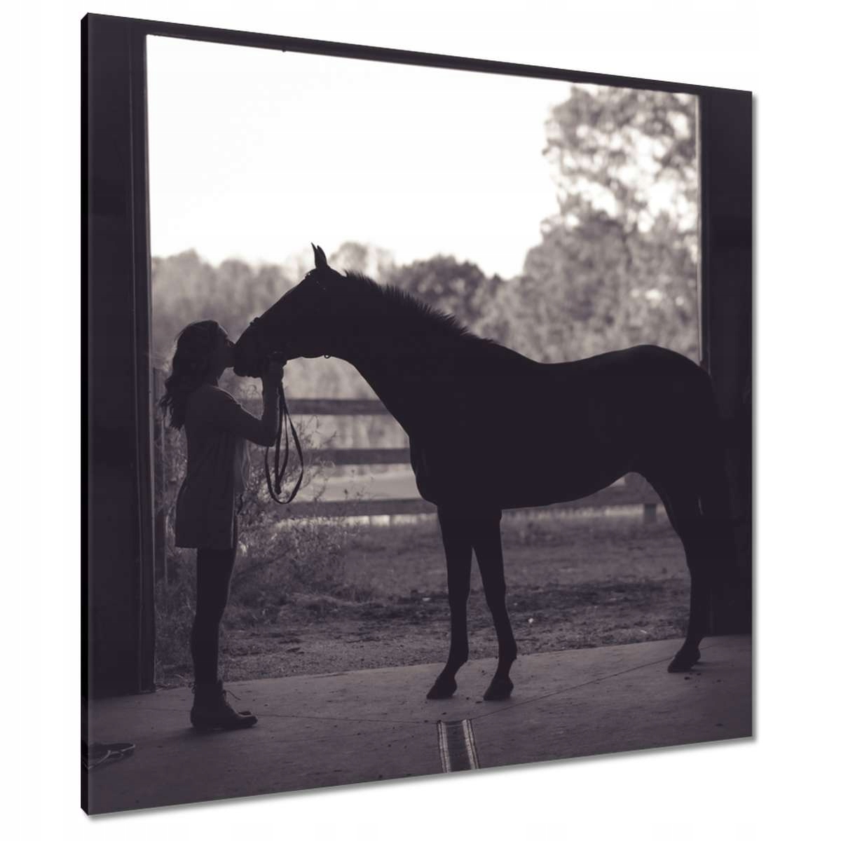 Obrazy 90x90 Kůň Jezdectví