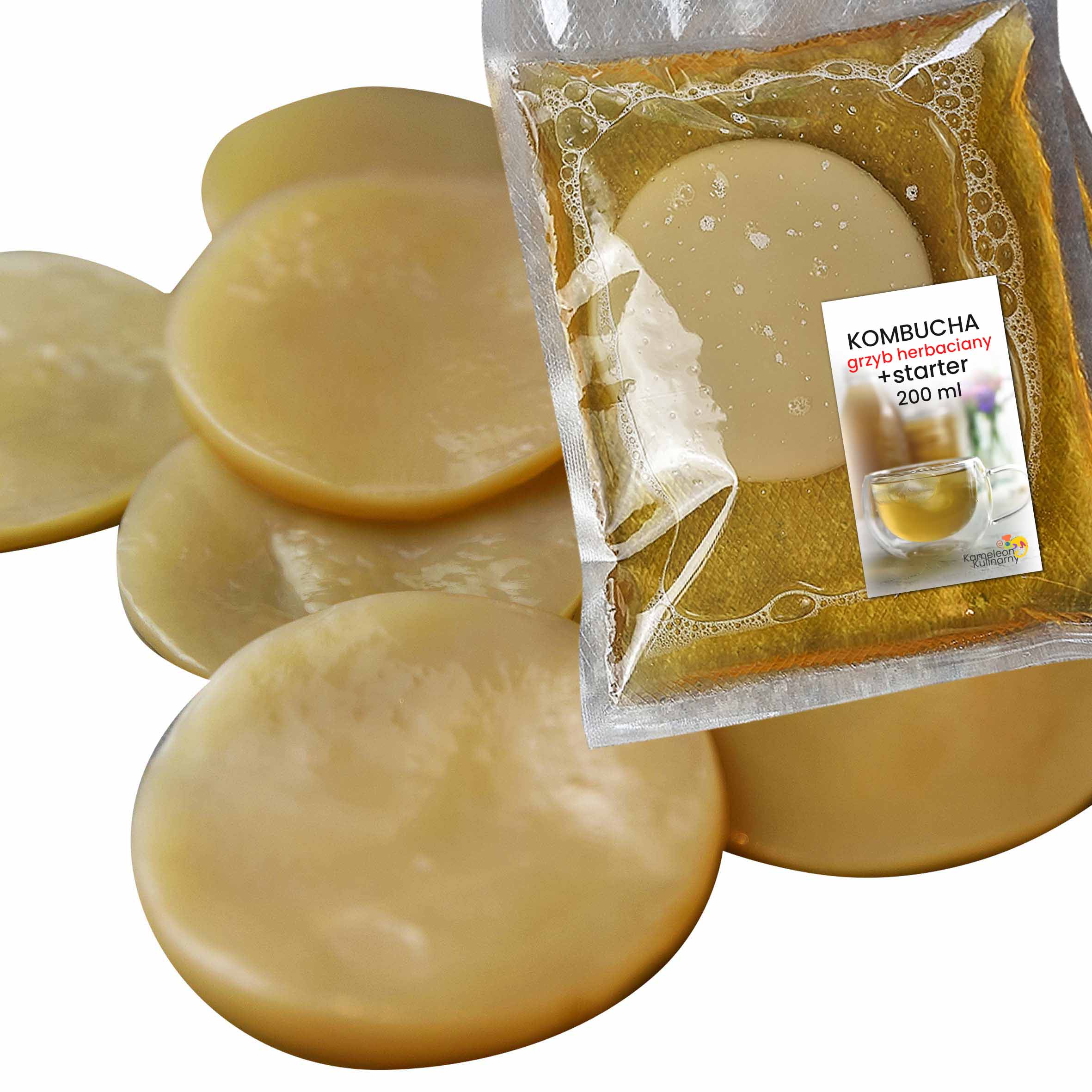 

Grzybek Herbaciany scoby Kombucha+ starter +ulotka