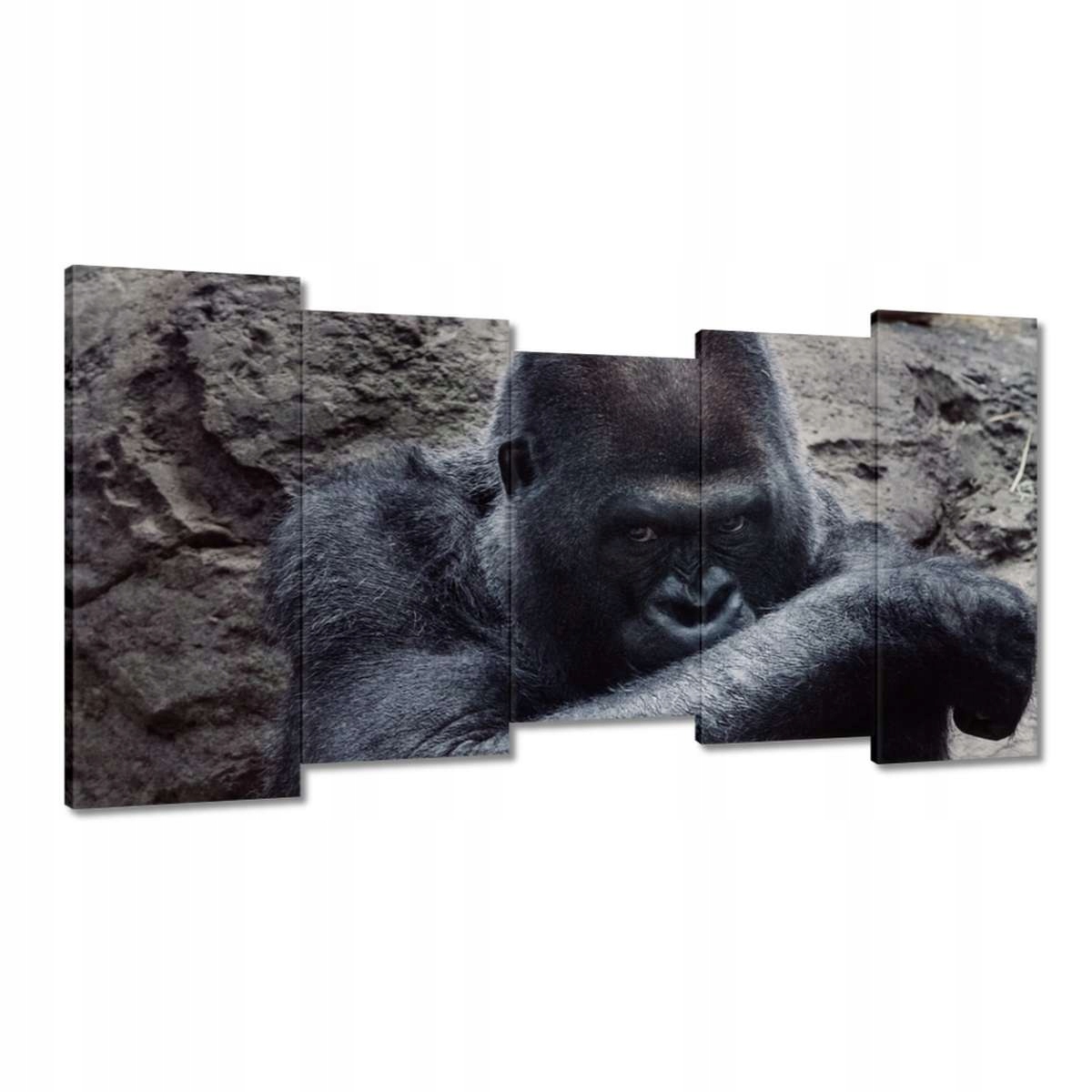 Obrazy 150x80 Zvířata Zvířátka