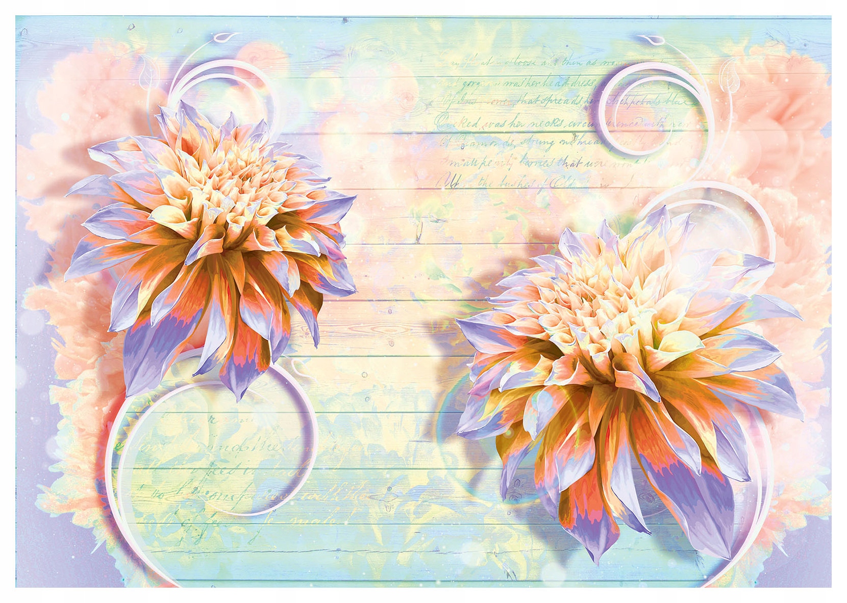 Fototapeta Jiřiny vintage na dřevě růžové odstíny 368x254 vinylová lepidlo