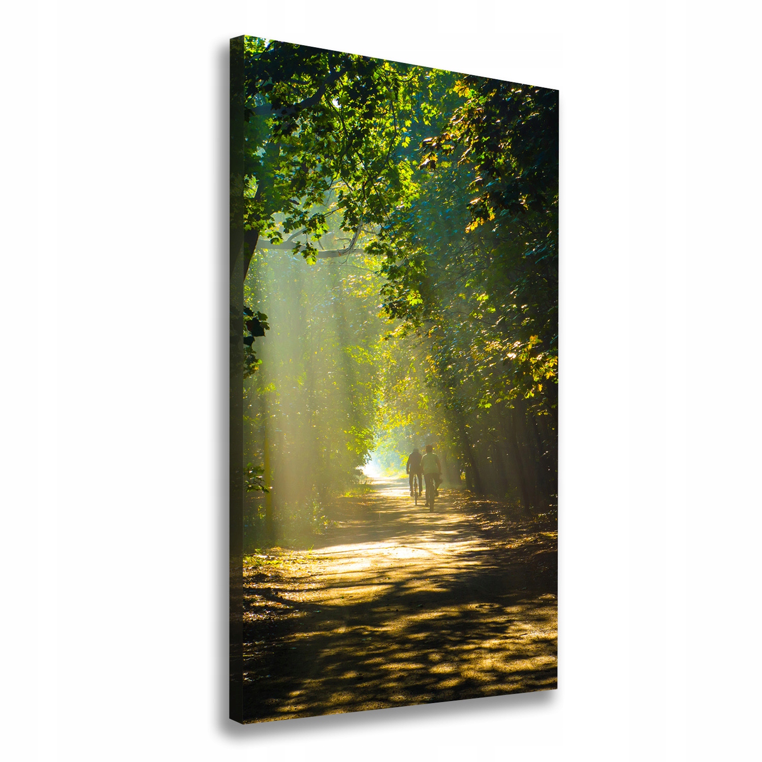 

Foto obraz na płótnie Ścieżka w lesie 70x140 cm