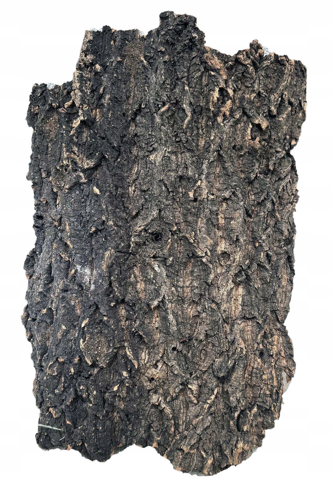 Levně Korková Kůra Pro Terária A Akvária, Dekorativní Laloky 40-50 CM 1 Kg