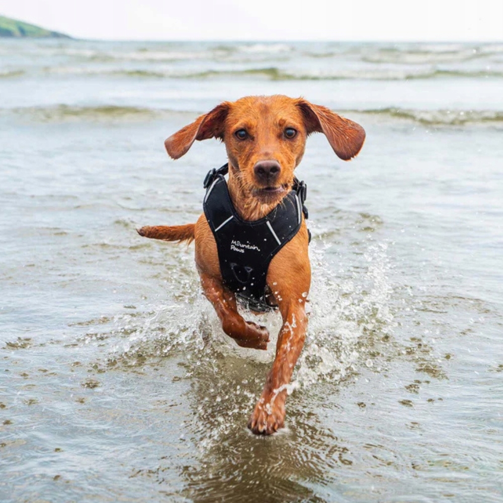 Levně Postroj pro psa Mountain Paws černý, velikost XL