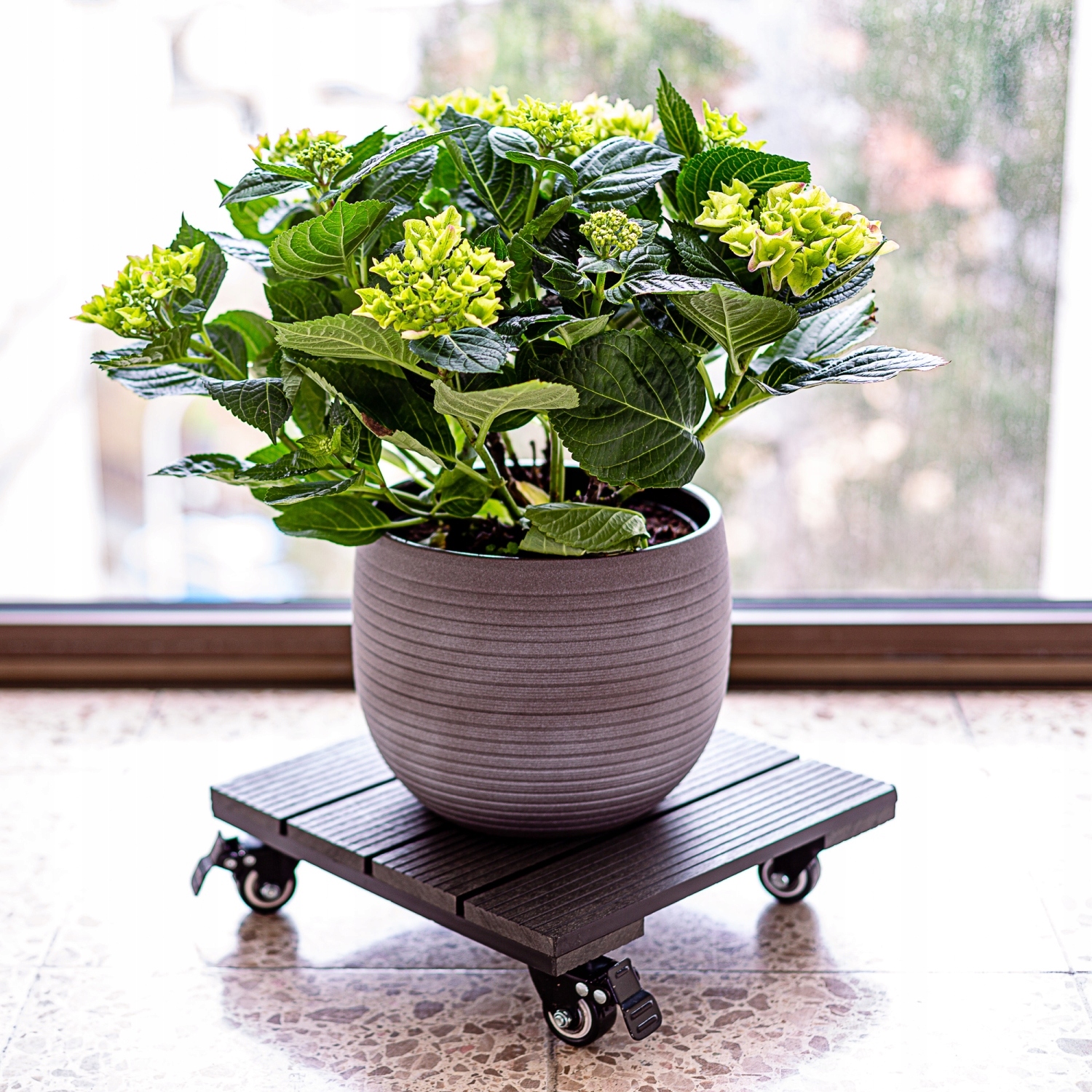 PODSTAWA STOJAK POD DONICĘ DONICZKĘ KOŁA Z BLOKADĄ Kod producenta 3047