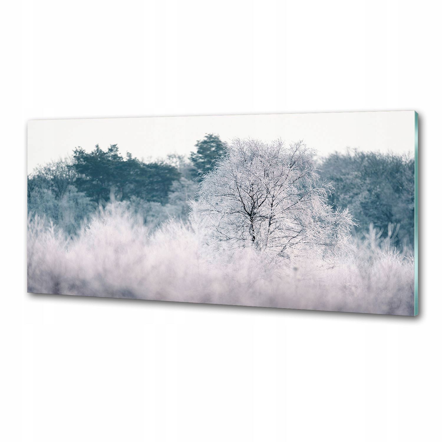 Panel dekor sklo Stromy v zime 125x50 cm Lepidlo