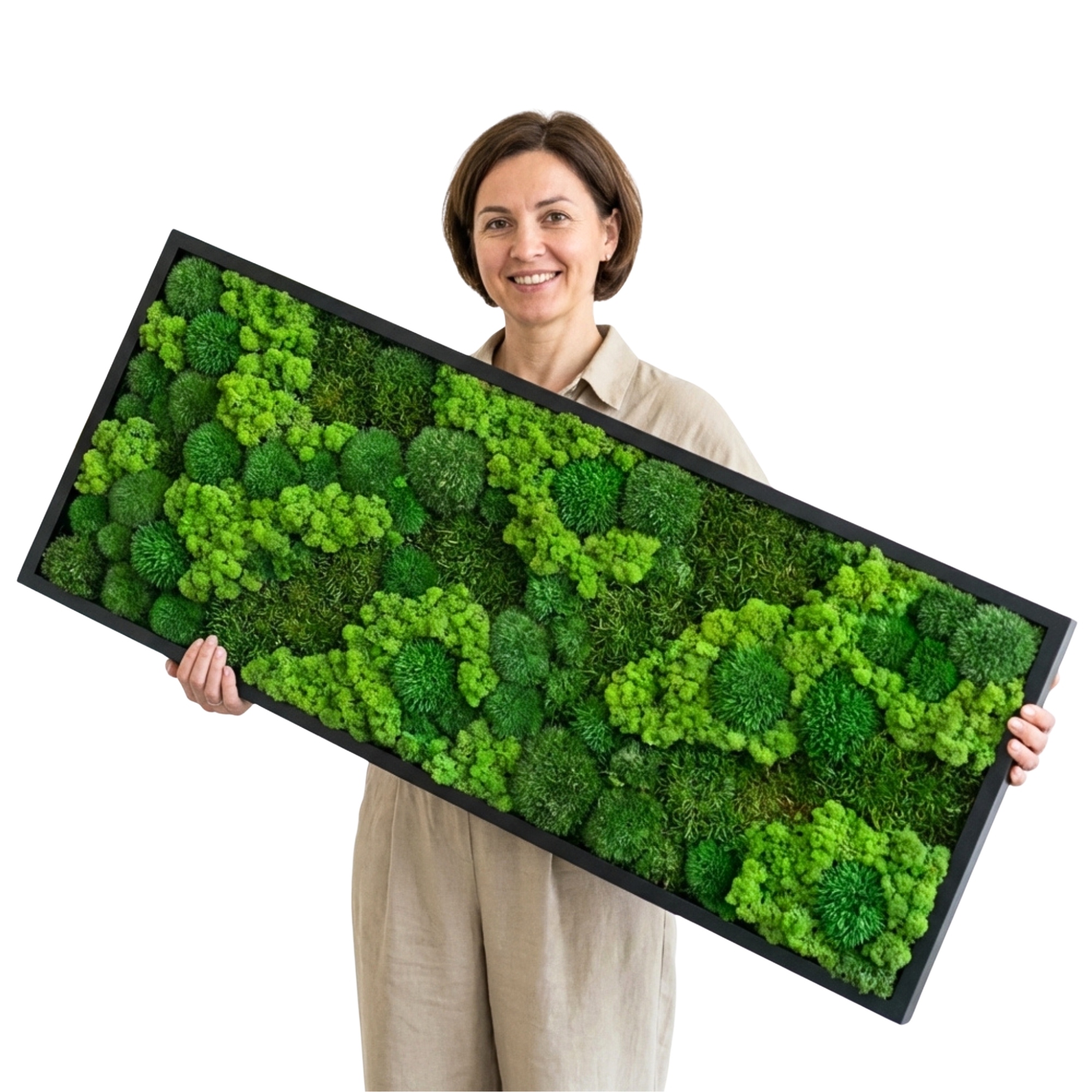 Obraz z mechu v dřevěném rámu mech Chrobotek Polštářový Plochý 150x50 cm