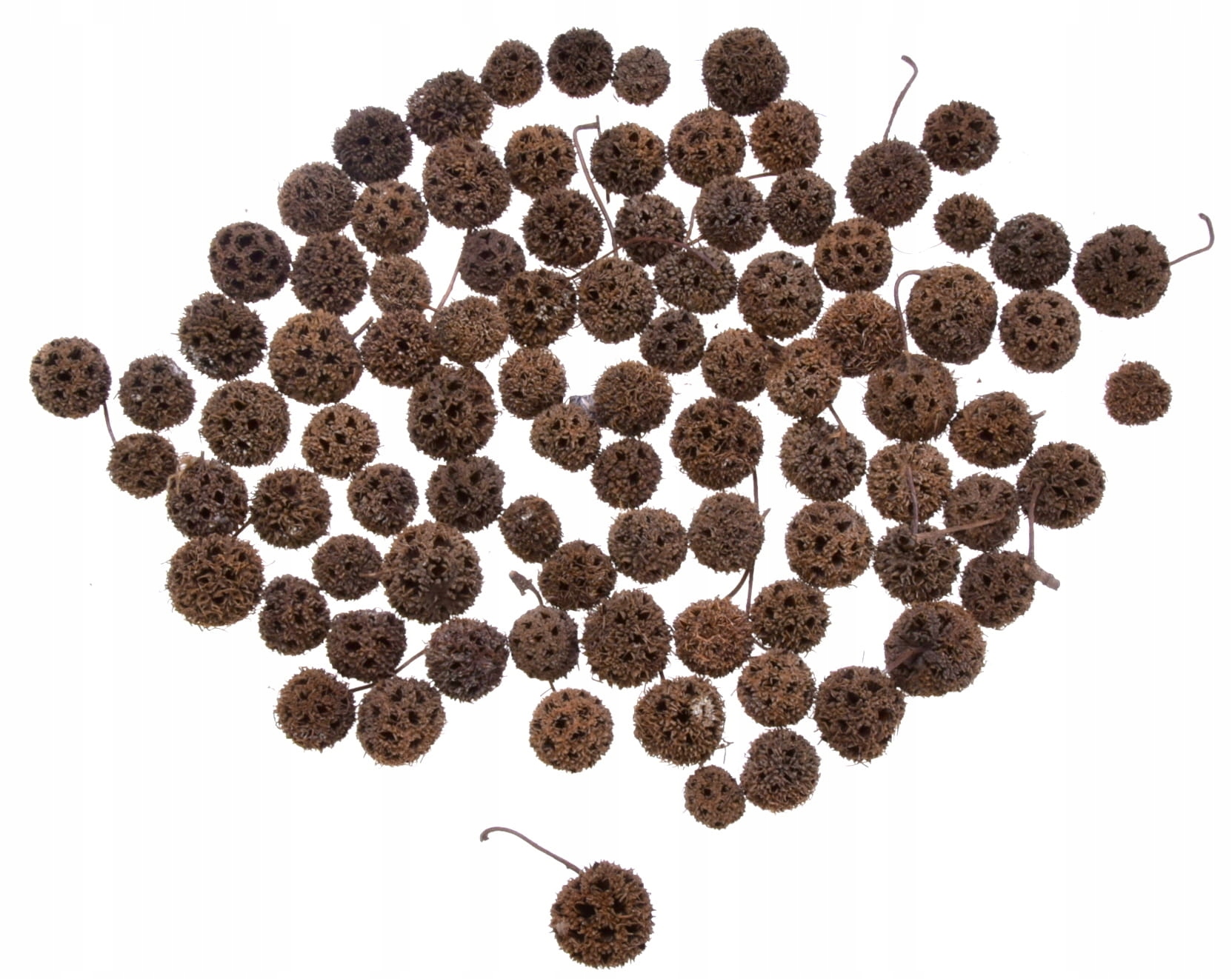 

Kulki drewniane drewienka dekoracyjne 100szt