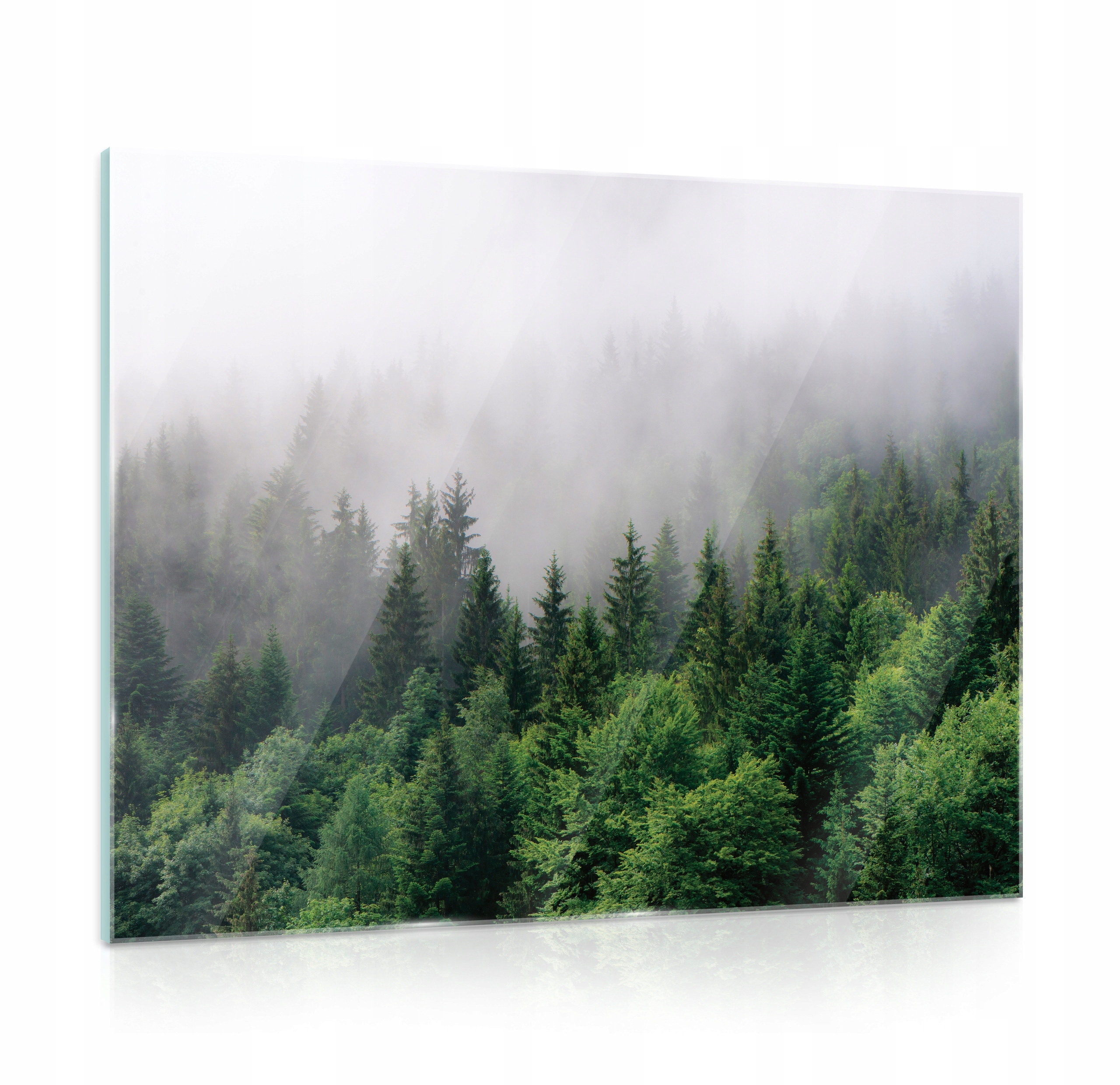 Skleněný obraz na skle do obývacího pokoje Kuchyně Les 80x60