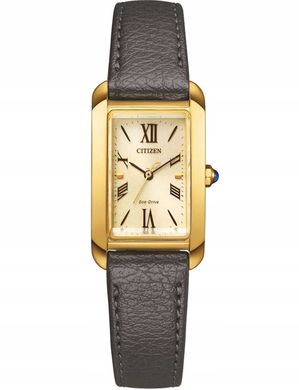 Dámské hodinky Citizen EW5622-09P