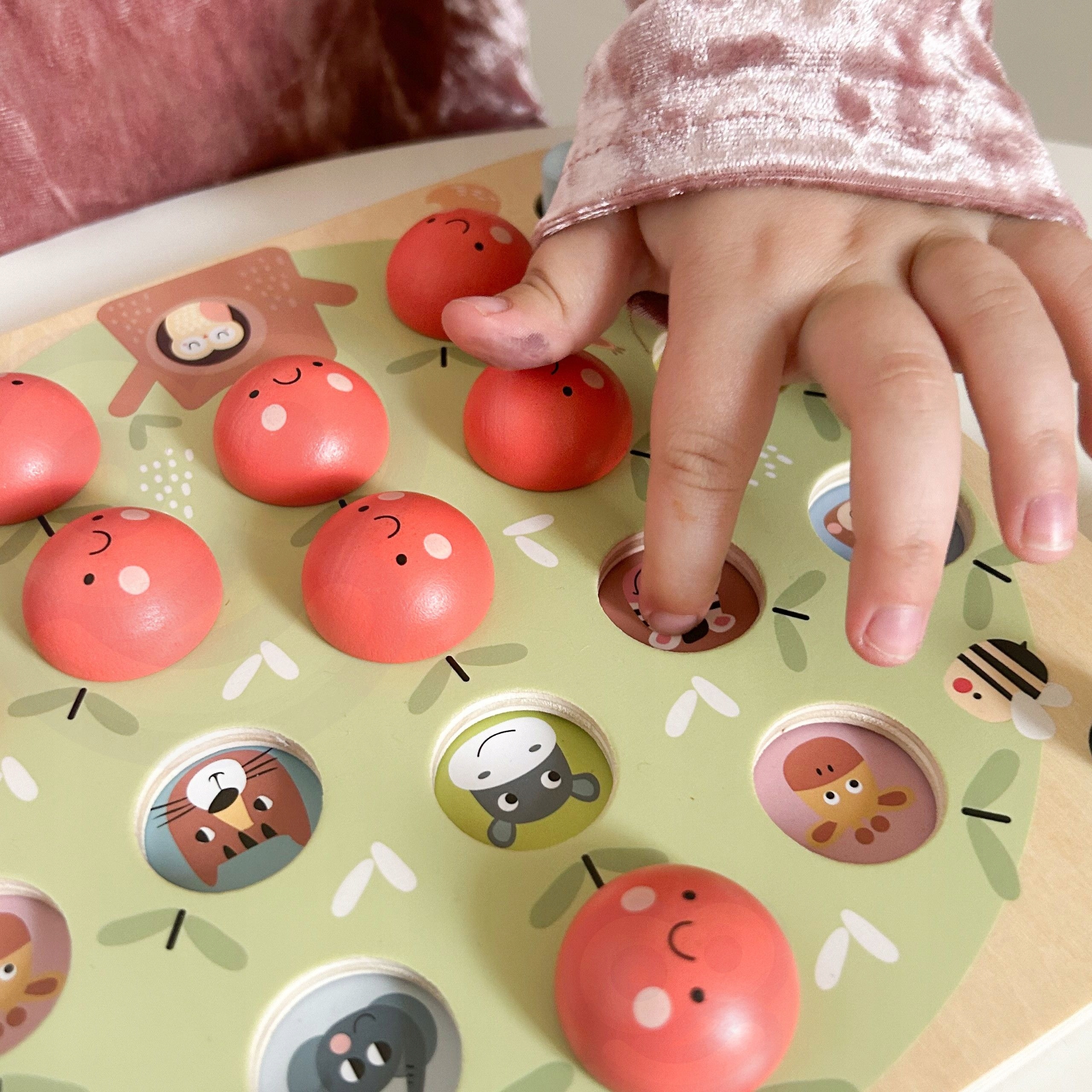 MEMORY GRA PAMIĘCIOWA JABŁUSZKA EDUKACYJNA ZNAJDŹ OBRAZEK GAME TOOKY TOY EAN (GTIN) 6972633372714