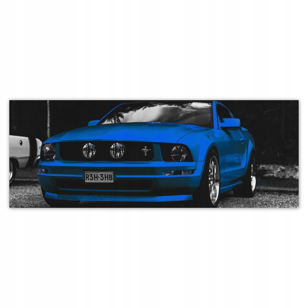 

Fototapety flizelina 250x93 Blue Ford Mustang