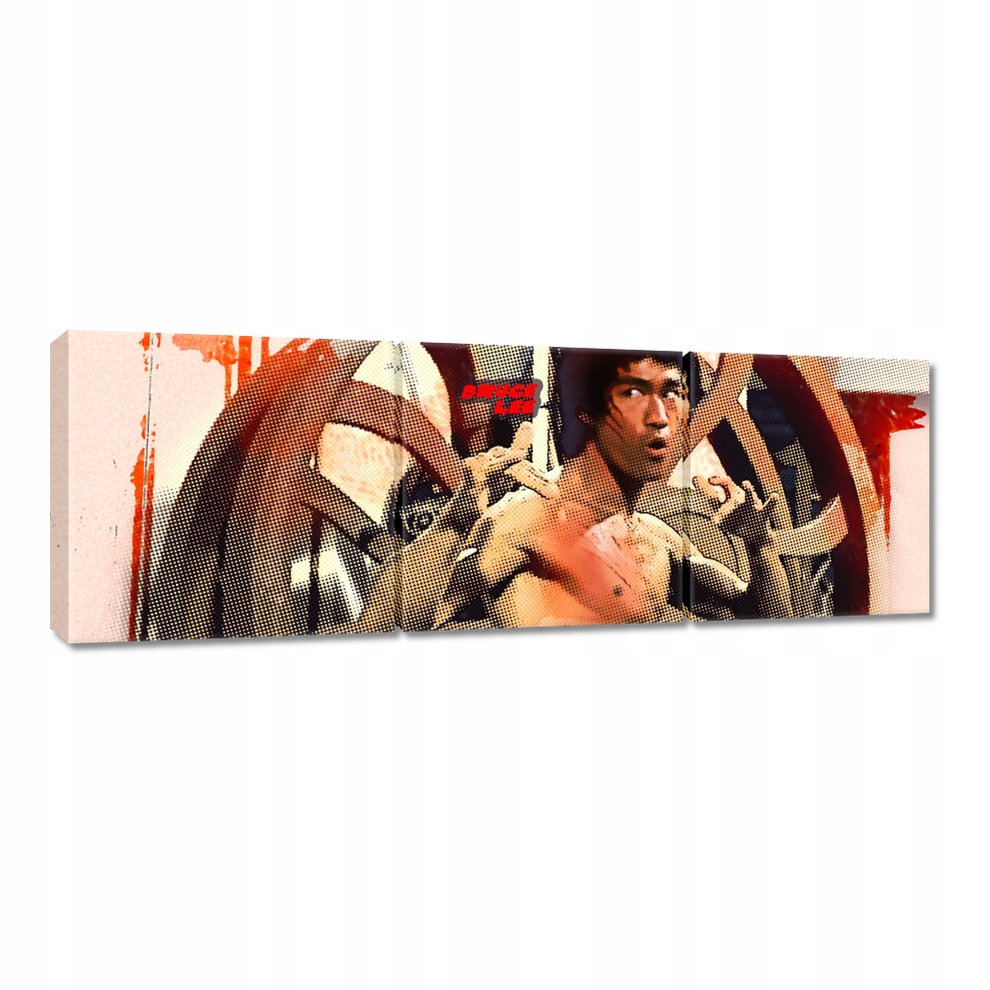 

Obrazy 120x40 Bruce Lee KungFu