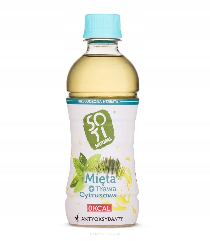 Levně Čaj Máta Tráva Citrusová 500 ml 24 ks