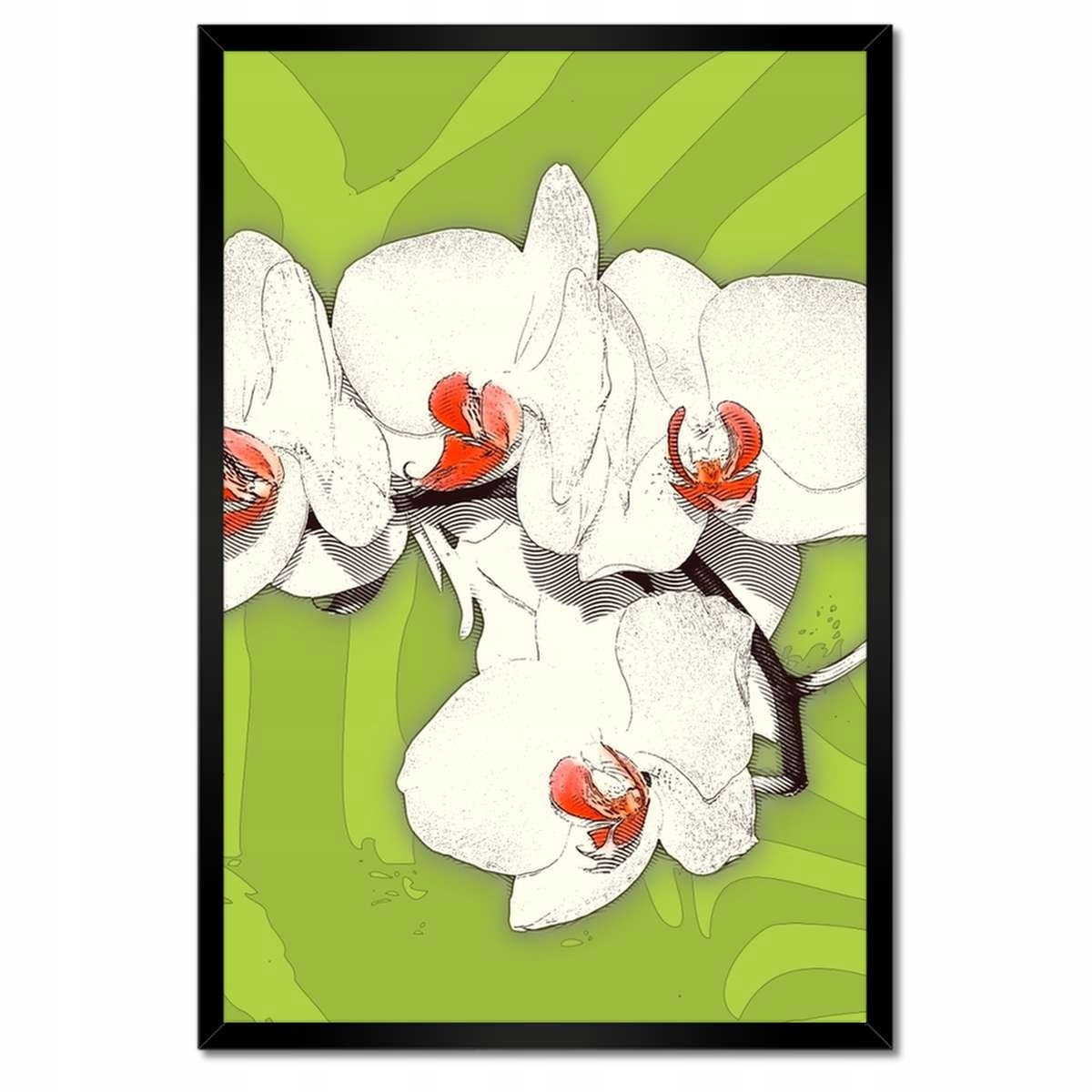 Plakáty v rámu 40x60 Limetka a orchidej