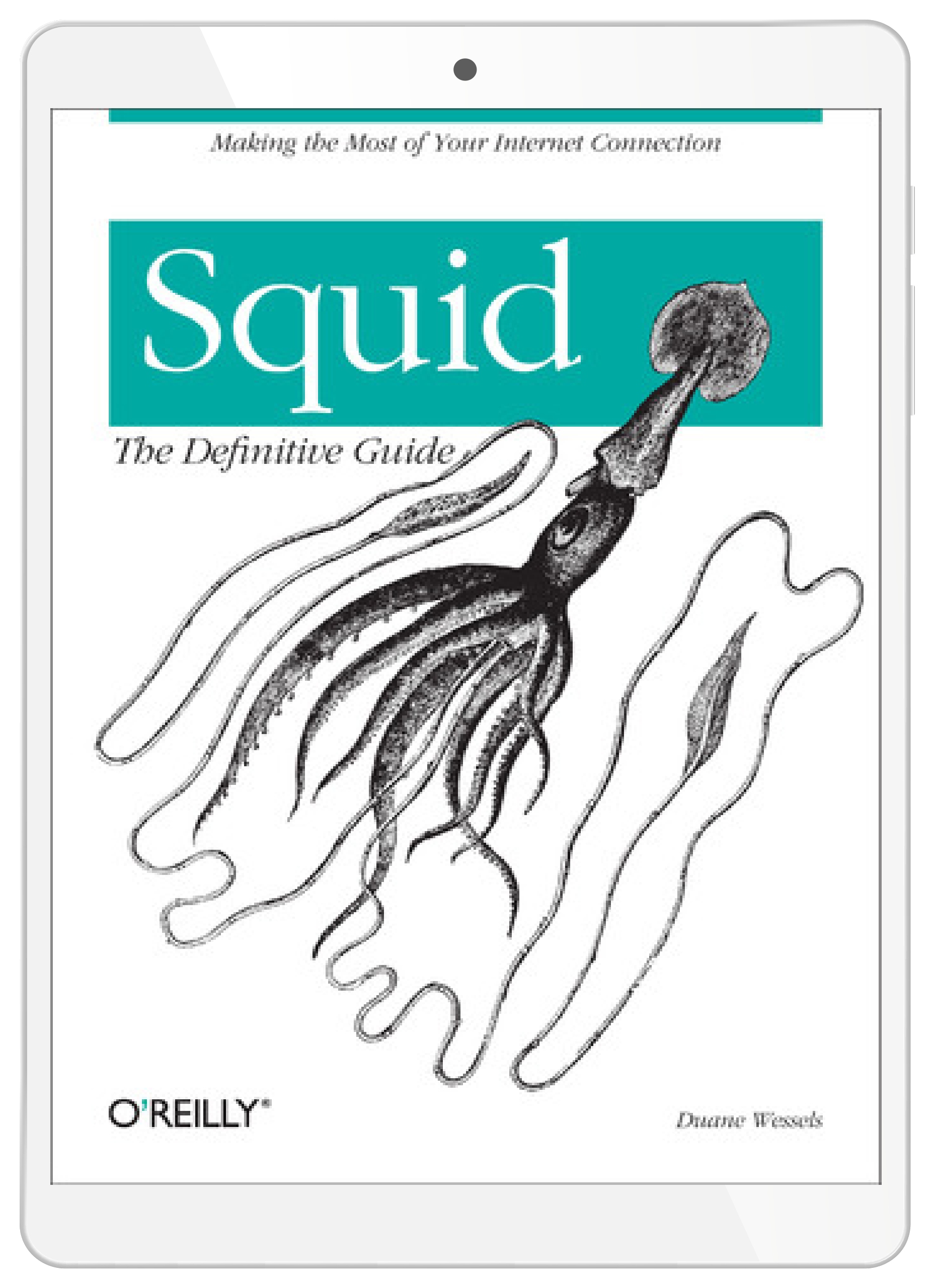 Squid: The Definitive Guide. The Definitive Guide