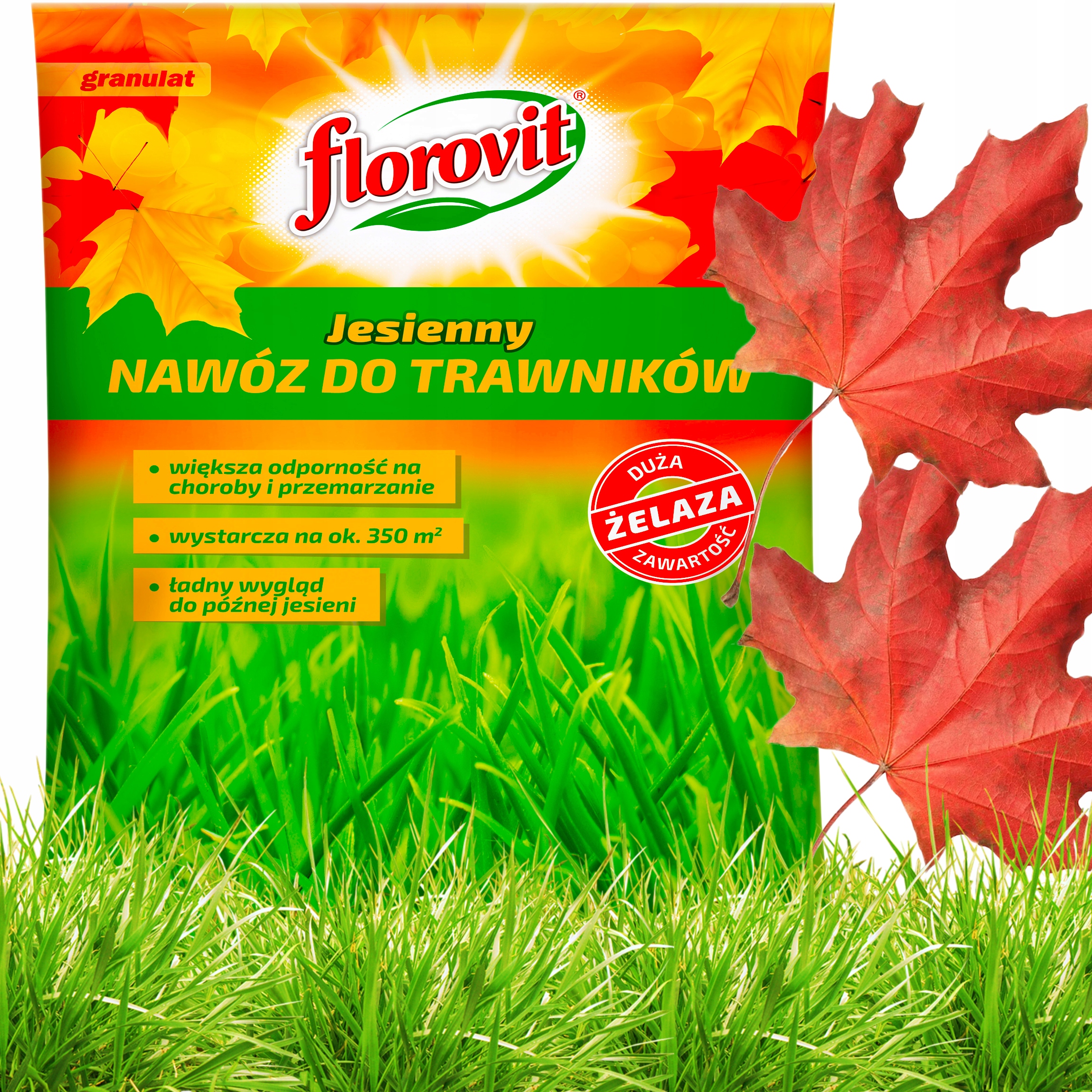 Florovit Jesienny Nawóz Do Trawy Trawnika 10kg Dużo Żelaza +Fe