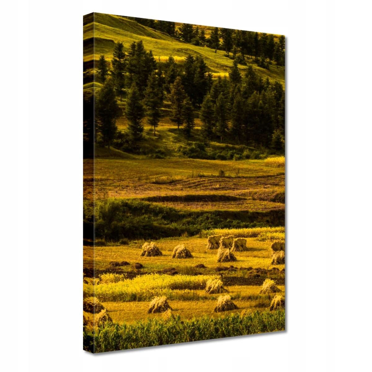 

Obrazy 20x30 Pejzaż Krajobraz Widoczek