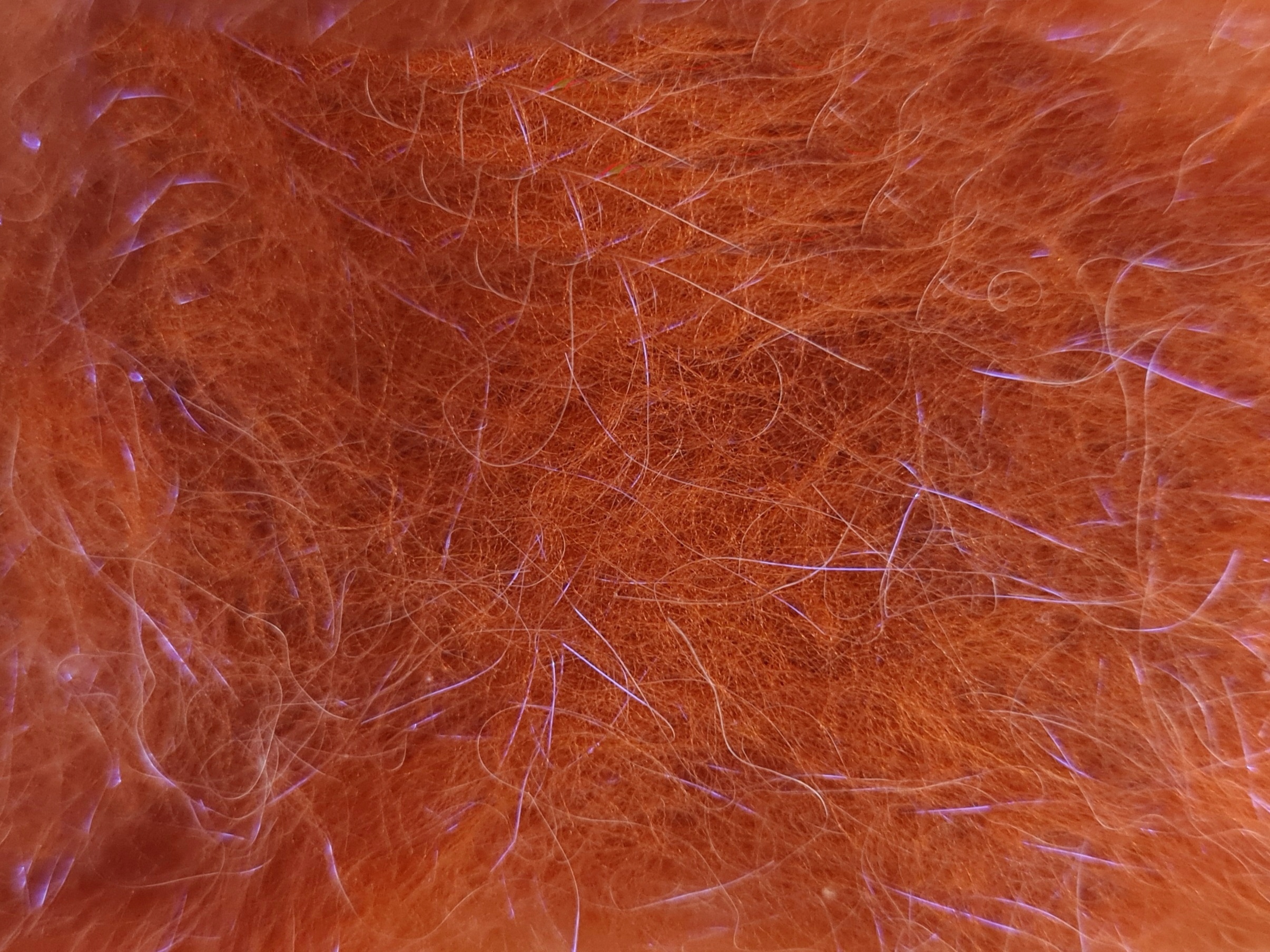 Uv Dry Fly Dubbing 1 sztuka