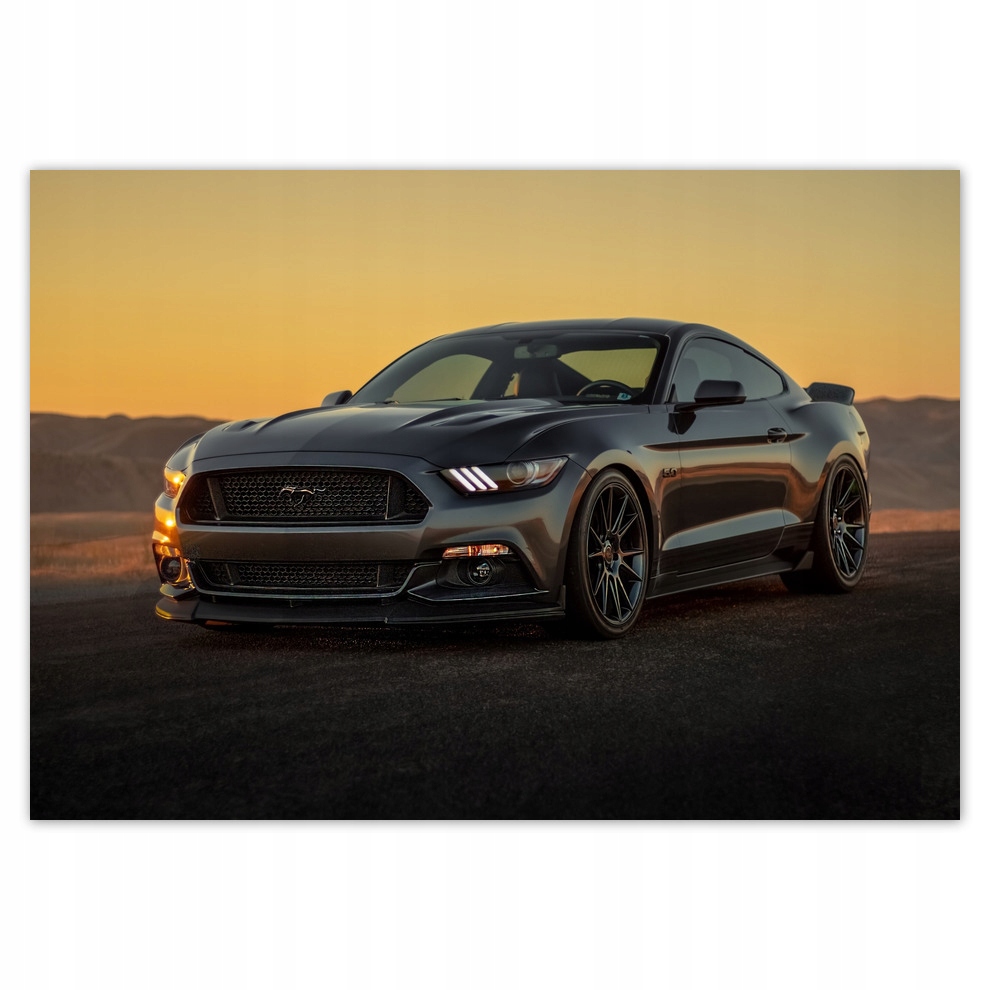 

Fototapety flizelina 312x219 Ford Mustang Usa