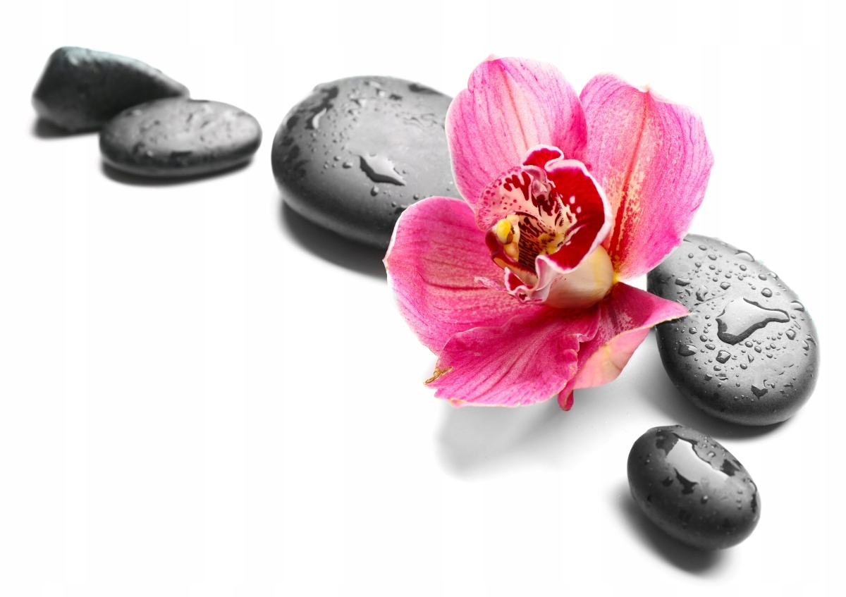 

Tapeta flizelinowa Orchidea Kamienie 312x219