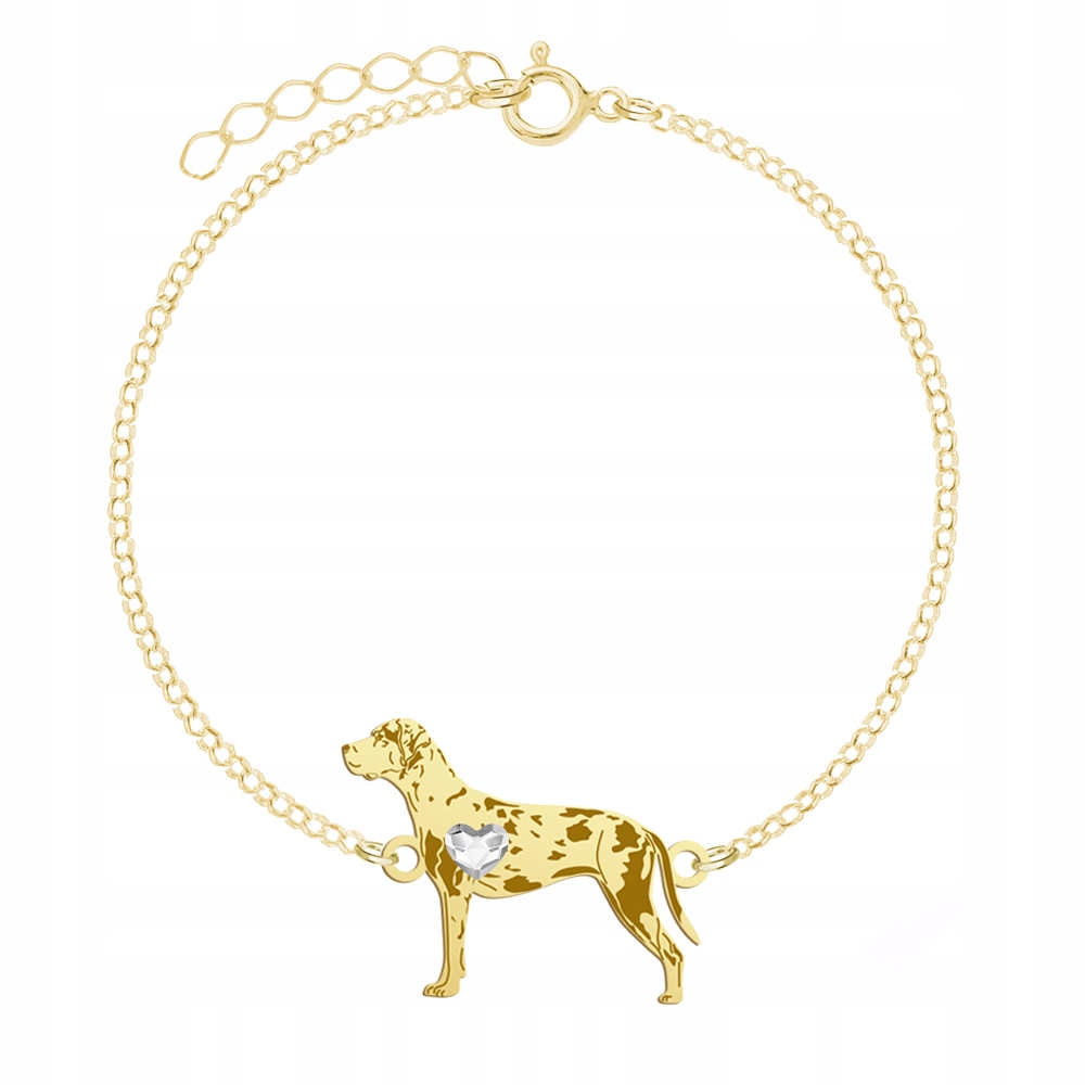 Zlatý náramek se psem Louisiana Catahoula 925 Řetízek Gravírování Bonus