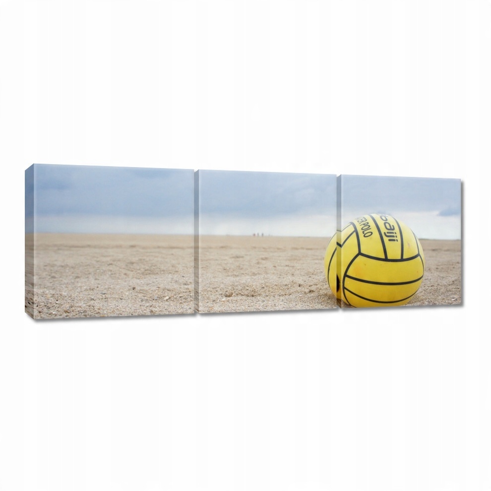 

Obrazy 60x20 Plażowa piłka siatkowa
