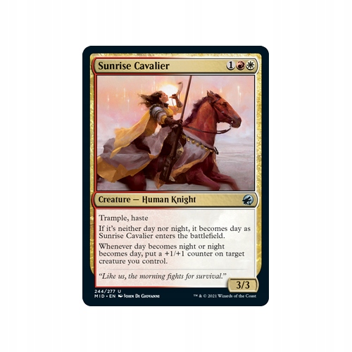 Mtg 4x Sunrise Cavalier