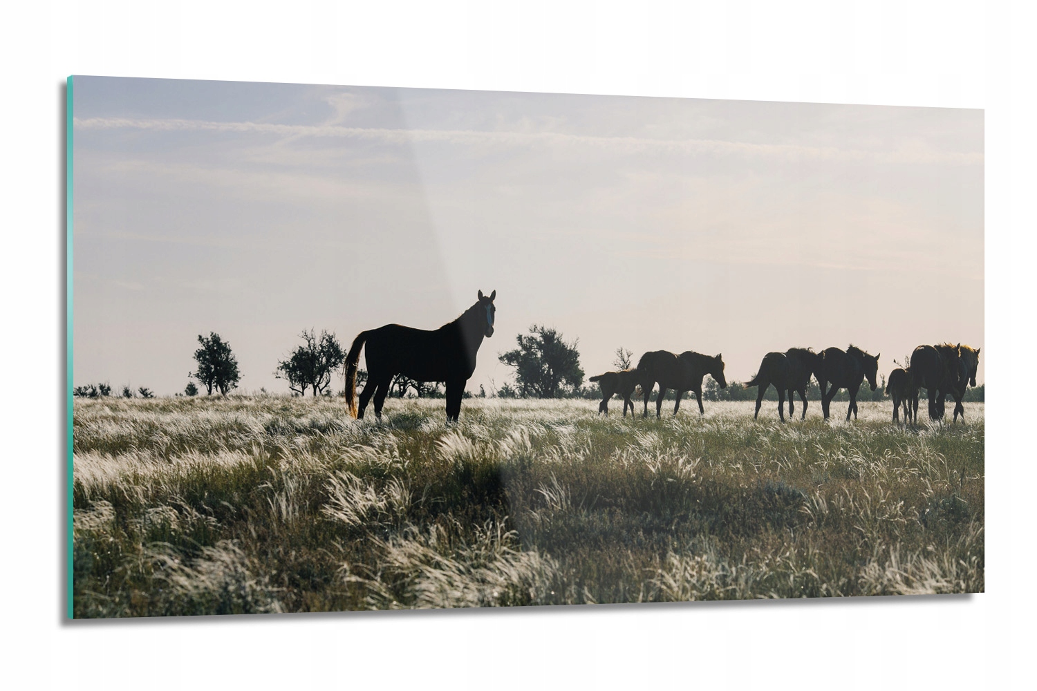 dekor Kone lúka príroda s potlačou 120x60 nástenný