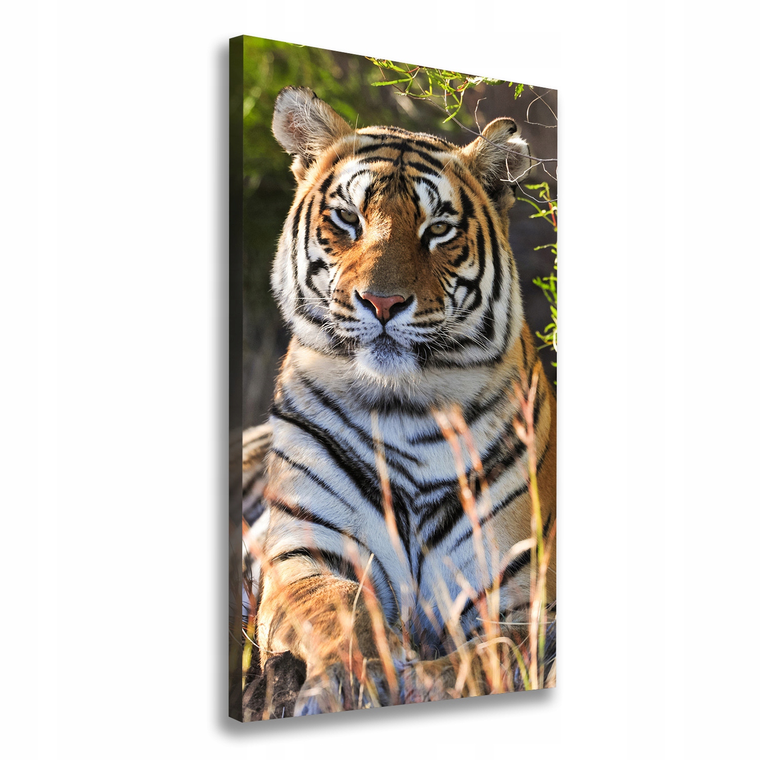 

Nowoczesny fotoobraz canvas na ramie Tygrys 50x100