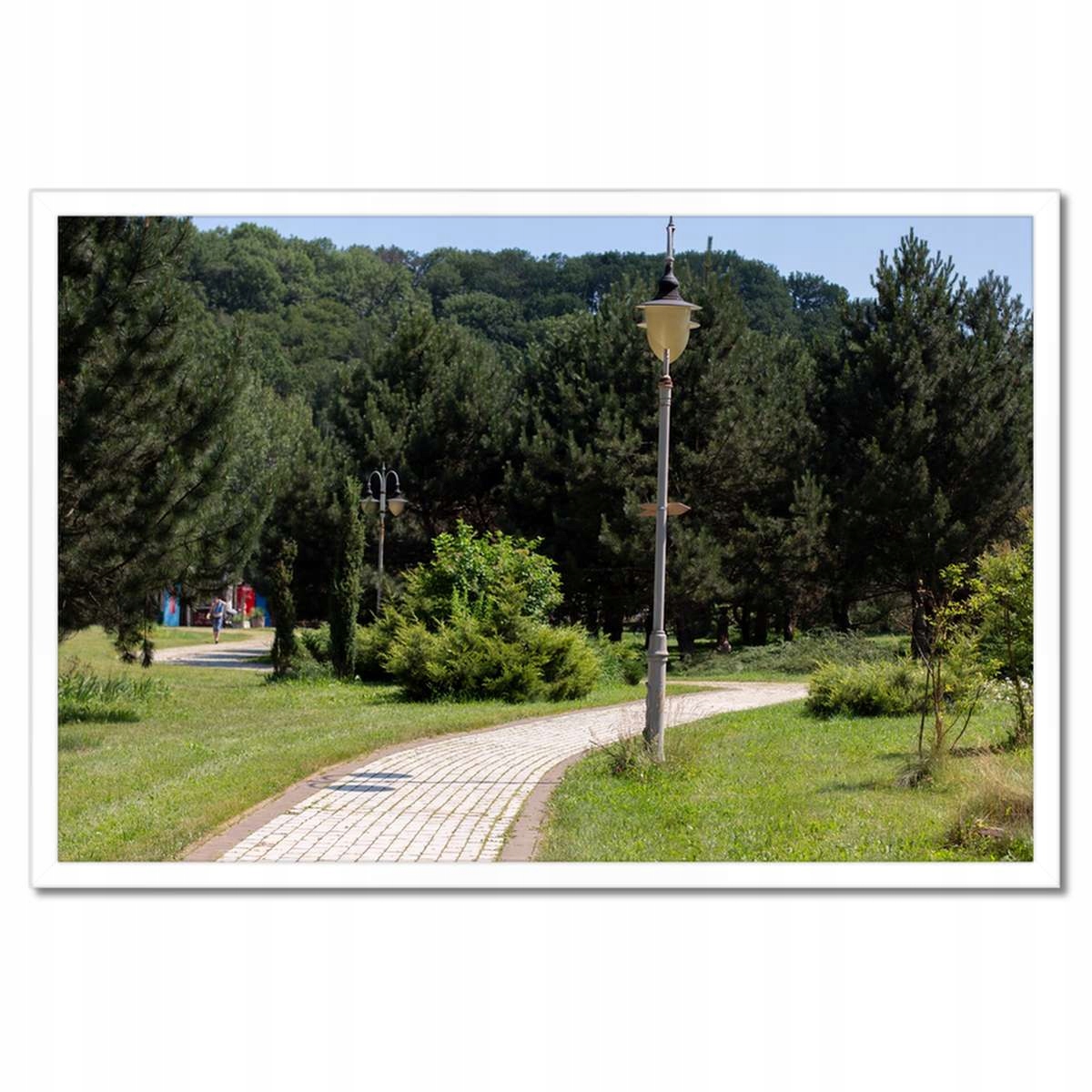 Plakáty v rámu 60x40 Zelený park se stromy
