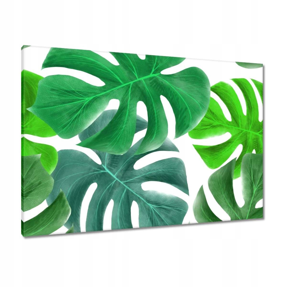 Obrazy 100x70 Listy Monstery Tropiky