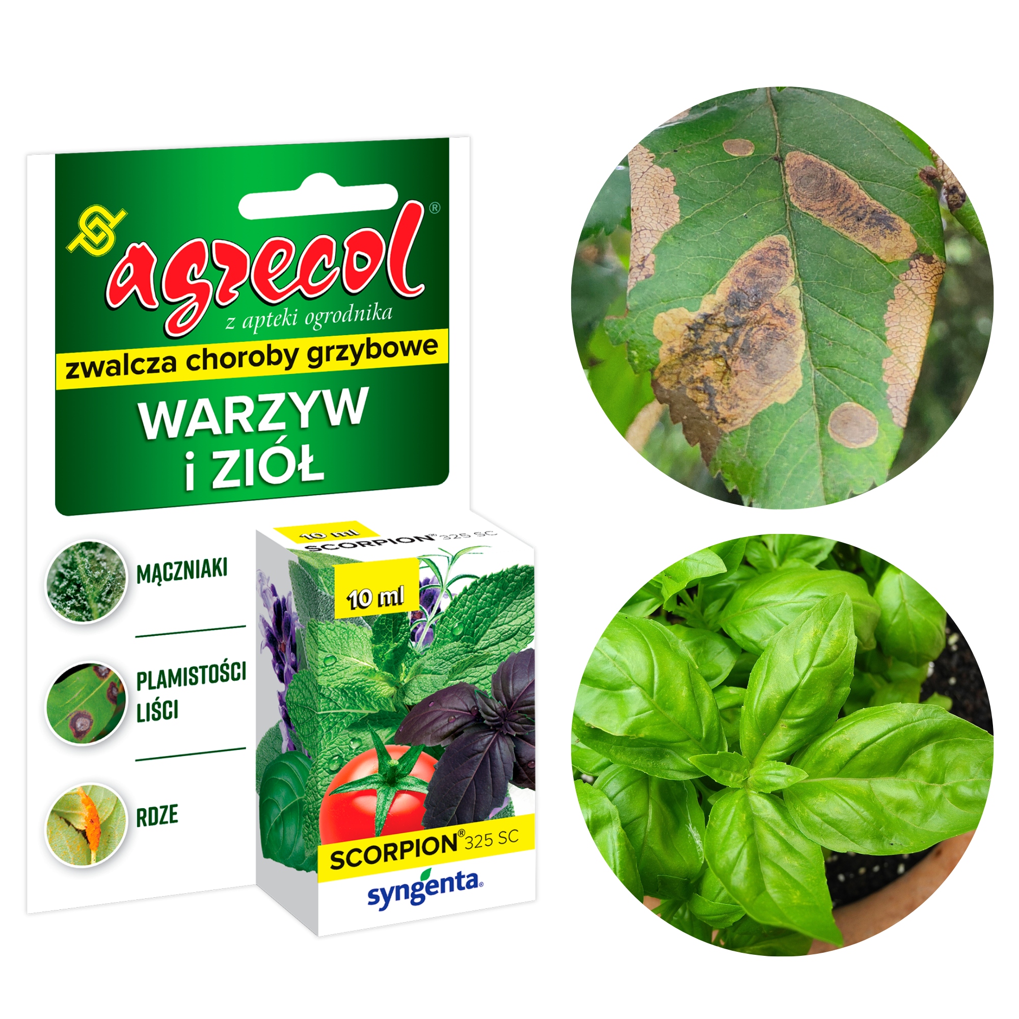 

Scorpion 325 Sc mączniak rdza zaraza Iglaki 10ml