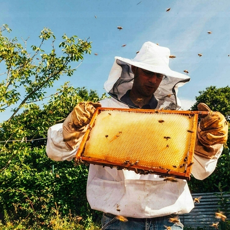 BLUZA PSZCZELARSKA Z KAPELUSZEM ZASUWANA + KAPELUSZ ODPINANY PREZENT Rodzaj zestaw
