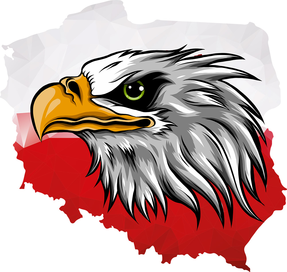 

Naklejka na samochód Polska Mapa Orzeł 17x18 cm