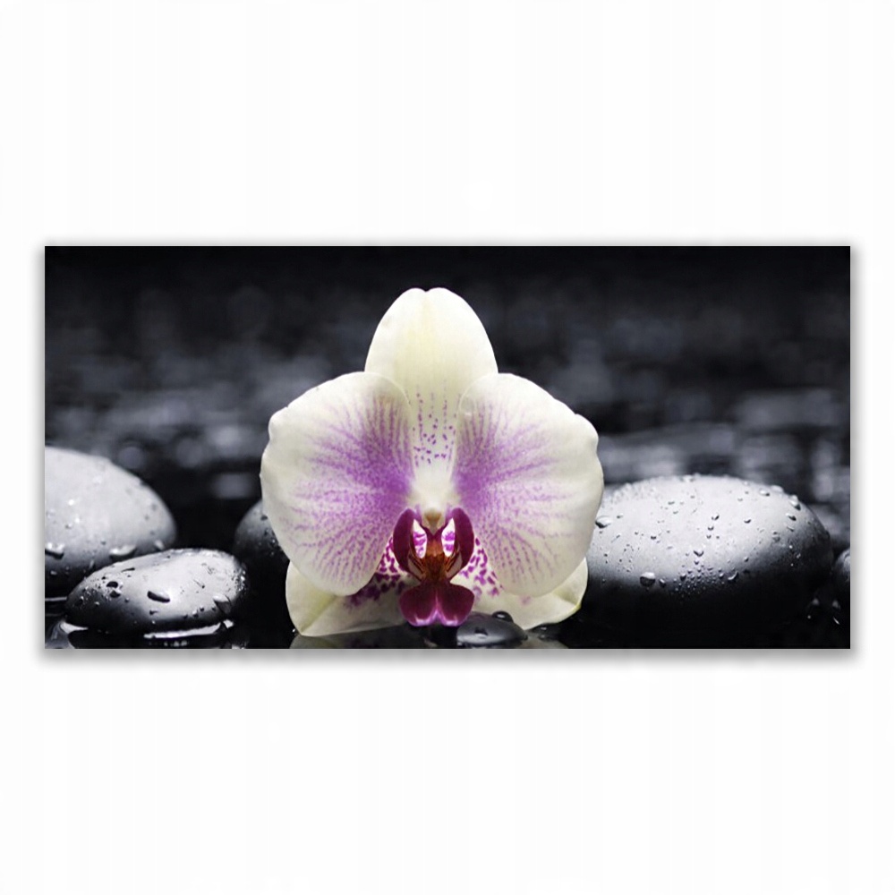 

Fotoobraz z grafiką 120x60 Kwiat Orchidea Roślina