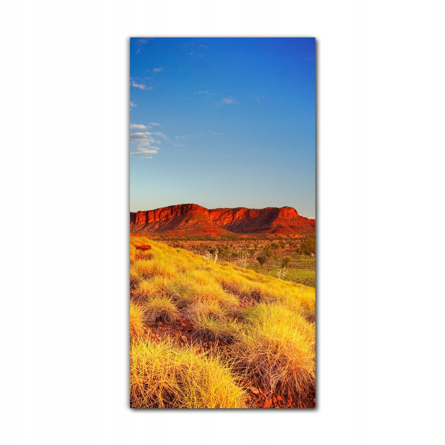

Obrazy szklane do kuchni 60x120 Pustynia Australia