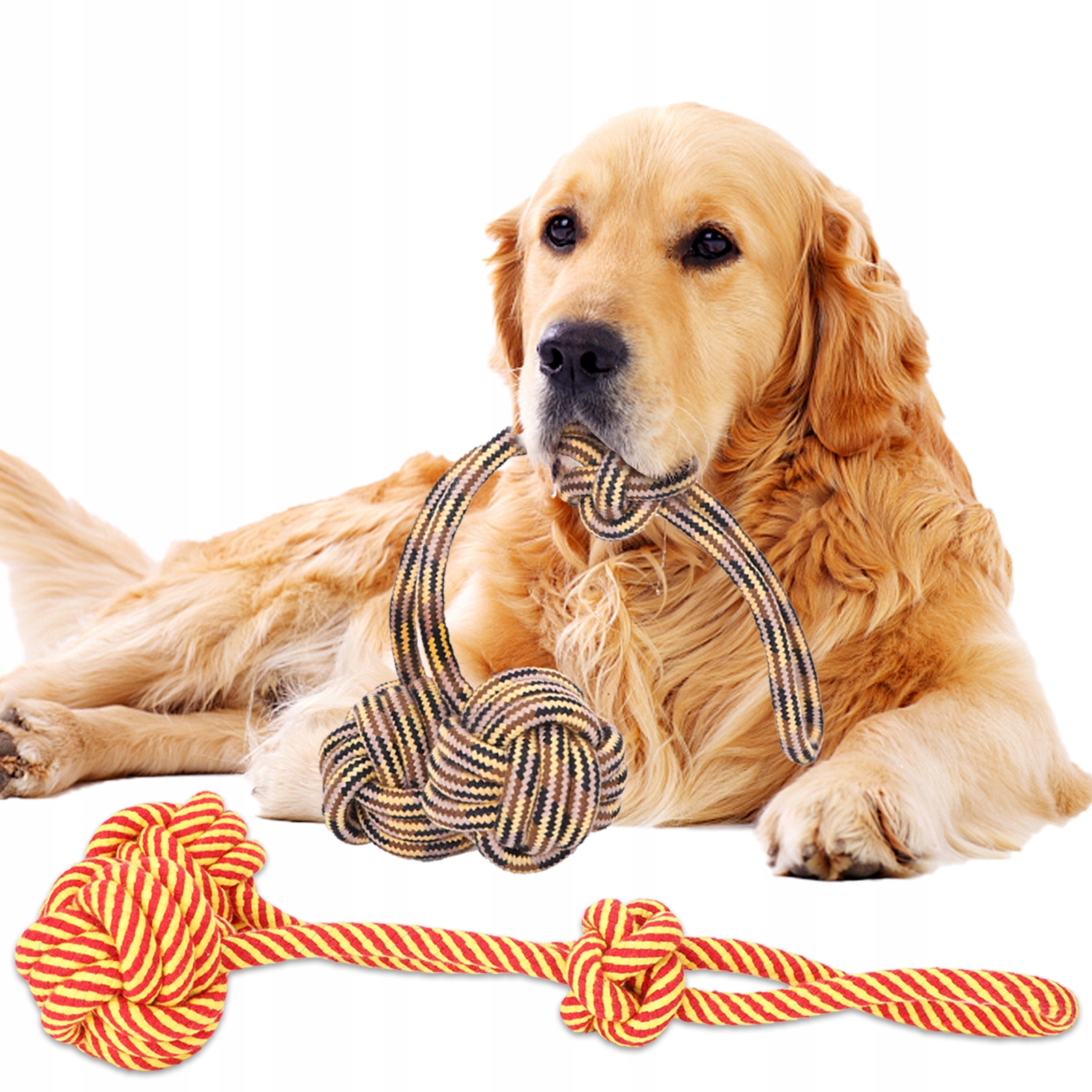 

Szarpak dla psa grubego sznura z supłami Nobleza